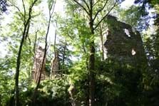 Burgruine Fluhenstein.