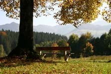 Ausblick vom Kalvarienberg.