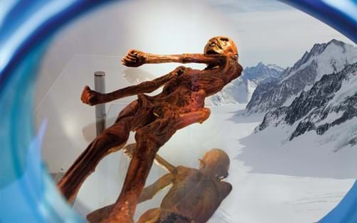 ÖTZI. Der Mann aus dem Eis, Ausstellung Sonthofen (2016) – Alle Museen ...