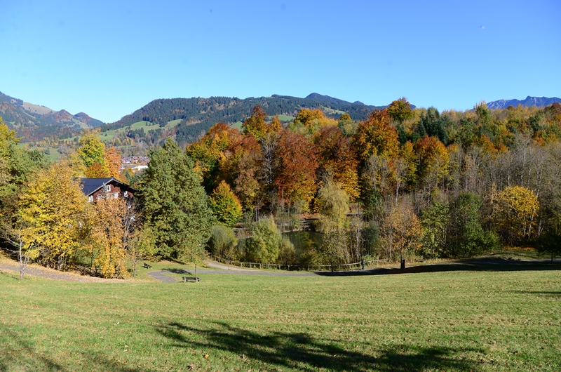 Der Götzfried's Weiher