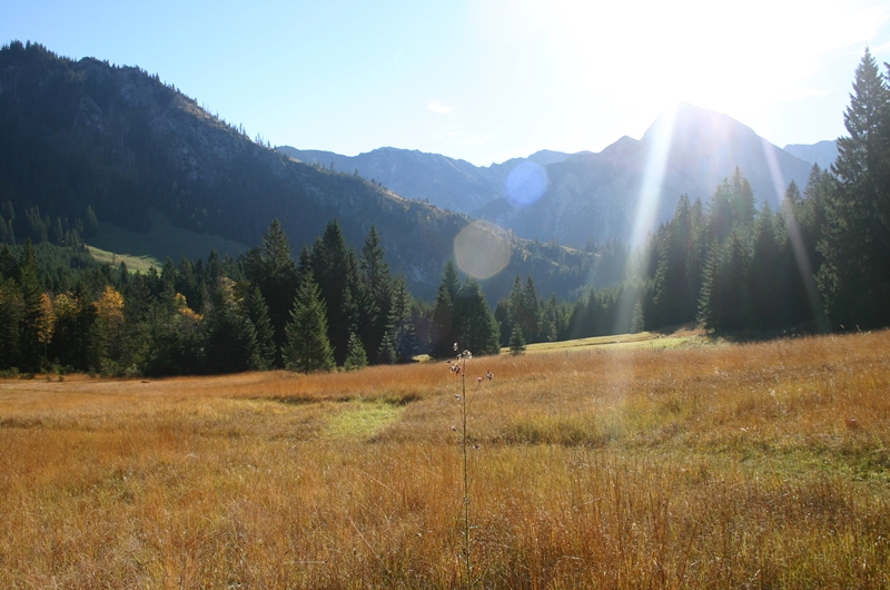 Strausbergmoos im Herbst