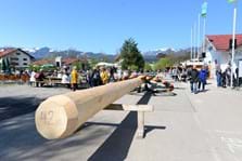 2019_05_01_maibaumfest_gtev_kar_3.JPG